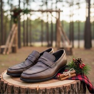 Ecco men’s shoes size 13 brown color great condition